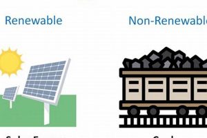 Renewable Resources: Key Differences Explained | Renewable Energy Solutions for a Sustainable Future | Clean & Green Power