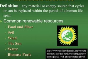 Renewable Resource Definition: A Simple Guide + Examples | Renewable Energy Solutions for a Sustainable Future | Clean & Green Power