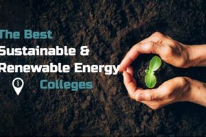 Top Renewable Energy Degrees for a Bright Future | Renewable Energy Solutions for a Sustainable Future | Clean & Green Power