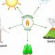 Energy That Can Be Replenished | Renewable Energy Solutions for a Sustainable Future | Clean & Green Power