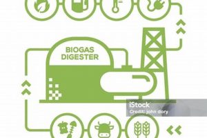 Biogas: A Renewable Energy Solution for the Future | Renewable Energy Solutions for a Sustainable Future | Clean & Green Power