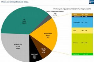 Germany's Renewable Energy Boom in 2024: A Deep Dive | Renewable Energy Solutions for a Sustainable Future | Clean & Green Power