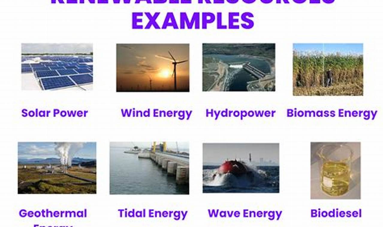 Renewable Resources: Examples & Future Fuel Renewable Energy Solutions for a Sustainable Future | Clean & Green Power Renewable Resources: Examples & Future Fuel | Renewable Energy Solutions for a Sustainable Future | Clean & Green Power