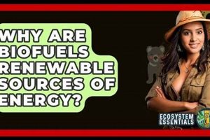 Are Biofuels Green? Why Biofuels Are Renewable Energy Sources Renewable Energy Solutions for a Sustainable Future | Clean & Green Power Are Biofuels Green? Why Biofuels Are Renewable Energy Sources | Renewable Energy Solutions for a Sustainable Future | Clean & Green Power