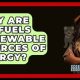 Are Biofuels Green? Why Biofuels Are Renewable Energy Sources | Renewable Energy Solutions for a Sustainable Future | Clean & Green Power