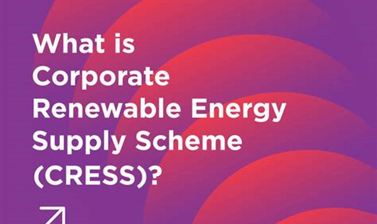 Maximize ROI with Corporate Renewable Energy Solutions Renewable Energy Solutions for a Sustainable Future | Clean & Green Power Maximize ROI with Corporate Renewable Energy Solutions | Renewable Energy Solutions for a Sustainable Future | Clean & Green Power