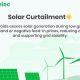 Minimizing Curtailed Renewable Energy Loss | Renewable Energy Solutions for a Sustainable Future | Clean & Green Power