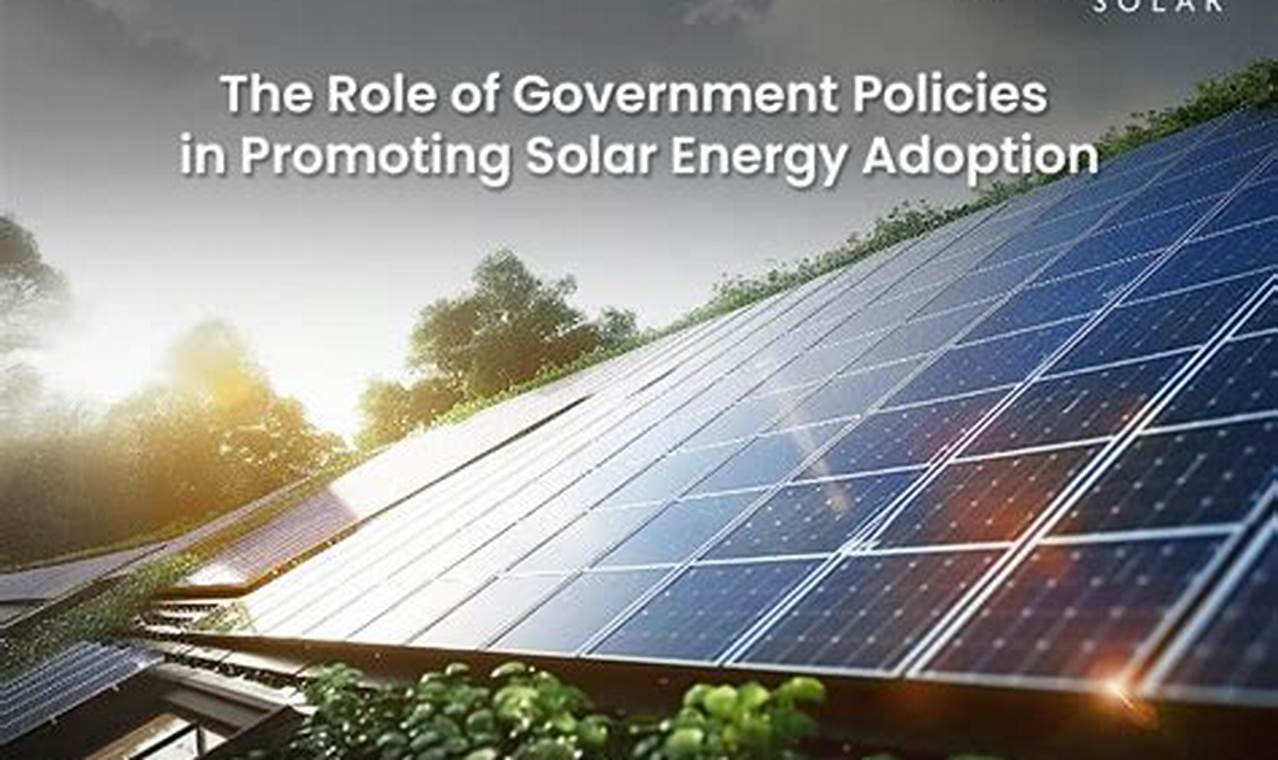 Effective Government Renewable Energy Policy Guide | Renewable Energy Solutions for a Sustainable Future | Clean & Green Power