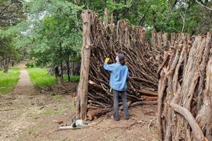 Home Nest Renewal: Eco-Friendly Guide | Renewable Energy Solutions for a Sustainable Future | Clean & Green Power