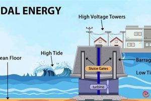 Why Is Tidal Energy Renewable | Renewable Energy Solutions for a Sustainable Future | Clean & Green Power