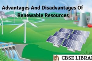 Renewable Energy Drawbacks: Exploring the Disadvantages | Renewable Energy Solutions for a Sustainable Future | Clean & Green Power