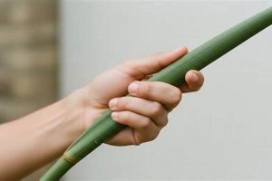 Eco-Friendly Renewable Resource Sourcing: Future Now! Renewable Energy Solutions for a Sustainable Future | Clean & Green Power Eco-Friendly Renewable Resource Sourcing: Future Now! | Renewable Energy Solutions for a Sustainable Future | Clean & Green Power