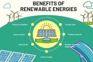 Go Green: What Are the Benefits of Using Renewable Resources? | Renewable Energy Solutions for a Sustainable Future | Clean & Green Power
