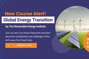 Best Courses in Renewable Energy: 2024 Guide | Renewable Energy Solutions for a Sustainable Future | Clean & Green Power