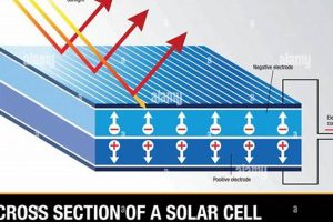 Go Green with Solar Cell Renewable Energy Today! Renewable Energy Solutions for a Sustainable Future | Clean & Green Power Go Green with Solar Cell Renewable Energy Today! | Renewable Energy Solutions for a Sustainable Future | Clean & Green Power