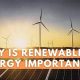 The Power of Green: Why Renewable Energy Sources are Important Now | Renewable Energy Solutions for a Sustainable Future | Clean & Green Power