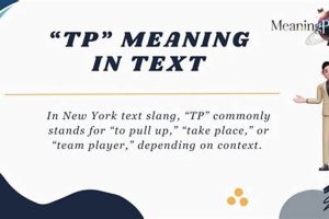 What Does "TP" Mean in New York? NYC Slang Explained Renewable Energy Solutions for a Sustainable Future | Clean & Green Power What Does "TP" Mean in New York? NYC Slang Explained | Renewable Energy Solutions for a Sustainable Future | Clean & Green Power