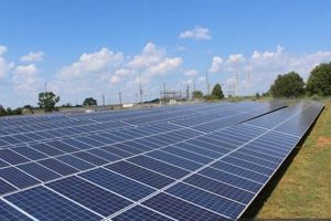 Why United Renewable Energy Solar Panels? Power Your Home | Renewable Energy Solutions for a Sustainable Future | Clean & Green Power