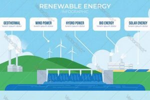 Top 5 Renewable Energy Sources: Powering a Green Future | Renewable Energy Solutions for a Sustainable Future | Clean & Green Power