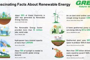 Facts About Renewable Energy Resources: Powering the Future | Renewable Energy Solutions for a Sustainable Future | Clean & Green Power
