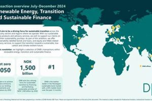 Financing Renewable Energy: DNB's Green Investments | Renewable Energy Solutions for a Sustainable Future | Clean & Green Power