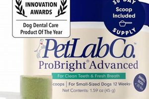 Lower Per Lab Co: Renewable Energy Solutions Renewable Energy Solutions for a Sustainable Future | Clean & Green Power Lower Per Lab Co: Renewable Energy Solutions | Renewable Energy Solutions for a Sustainable Future | Clean & Green Power