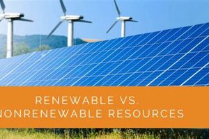 Are Solar Panels Renewable? Exploring Solar Energy Facts | Renewable Energy Solutions for a Sustainable Future | Clean & Green Power
