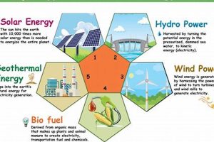 Top 5 List: Renewable Resources Guide + Examples | Renewable Energy Solutions for a Sustainable Future | Clean & Green Power