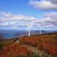 Vermont's Renewable Energy Future: A Guide | Renewable Energy Solutions for a Sustainable Future | Clean & Green Power