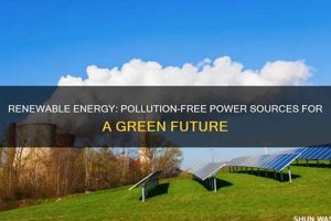 Do Renewable Energy Sources Cause Pollution | Renewable Energy Solutions for a Sustainable Future | Clean & Green Power