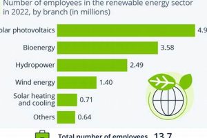 How Many People Work In The Renewable Energy Industry Renewable Energy Solutions for a Sustainable Future | Clean & Green Power How Many People Work In The Renewable Energy Industry | Renewable Energy Solutions for a Sustainable Future | Clean & Green Power