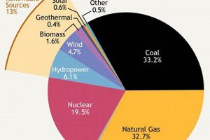 Renewable Energy: How It's Used Now + Future Renewable Energy Solutions for a Sustainable Future | Clean & Green Power Renewable Energy: How It's Used Now + Future | Renewable Energy Solutions for a Sustainable Future | Clean & Green Power