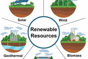 Exploring What are Natural Renewable Resources? + Benefits Renewable Energy Solutions for a Sustainable Future | Clean & Green Power Exploring What are Natural Renewable Resources? + Benefits | Renewable Energy Solutions for a Sustainable Future | Clean & Green Power
