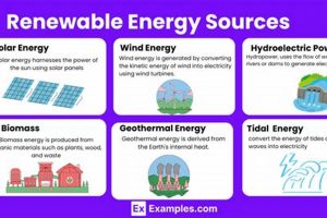 Top 10 Renewable Energy Resources: Powering a Green Future Renewable Energy Solutions for a Sustainable Future | Clean & Green Power Top 10 Renewable Energy Resources: Powering a Green Future | Renewable Energy Solutions for a Sustainable Future | Clean & Green Power