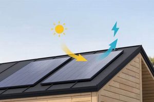 Discover Where Solar Energy Comes From (It's Amazing!) Renewable Energy Solutions for a Sustainable Future | Clean & Green Power Discover Where Solar Energy Comes From (It's Amazing!) | Renewable Energy Solutions for a Sustainable Future | Clean & Green Power