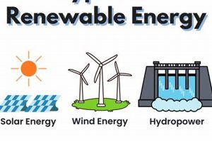 Top 6 Types of Renewable Energy Sources | Renewable Energy Solutions for a Sustainable Future | Clean & Green Power