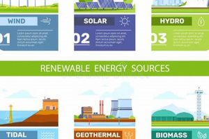 Powering the Future: Different Kinds of Renewable Energy Sources Today! | Renewable Energy Solutions for a Sustainable Future | Clean & Green Power