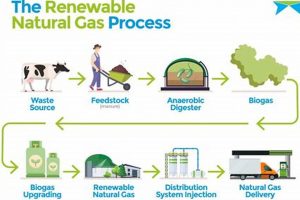 Is Natural Gas Truly Renewable? The Facts | Renewable Energy Solutions for a Sustainable Future | Clean & Green Power