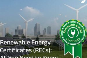 Buy RECs: Support Renewable Energy Now Renewable Energy Solutions for a Sustainable Future | Clean & Green Power Buy RECs: Support Renewable Energy Now | Renewable Energy Solutions for a Sustainable Future | Clean & Green Power