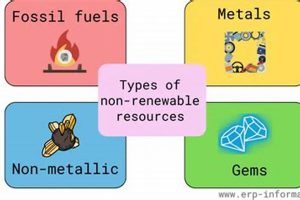 Examples of Non Renewable Resources: Energy & Beyond! Renewable Energy Solutions for a Sustainable Future | Clean & Green Power Examples of Non Renewable Resources: Energy & Beyond! | Renewable Energy Solutions for a Sustainable Future | Clean & Green Power