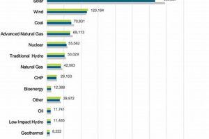 Top Renewable Energy Jobs USA: 2024 Guide | Renewable Energy Solutions for a Sustainable Future | Clean & Green Power