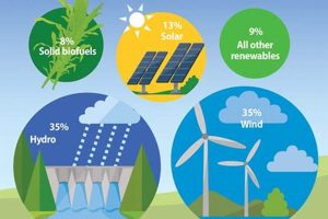 Top Most Renewable Energy Source: Powering the Future | Renewable Energy Solutions for a Sustainable Future | Clean & Green Power