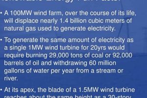 Surprising Renewable Energy Fun Facts: Did You Know? | Renewable Energy Solutions for a Sustainable Future | Clean & Green Power