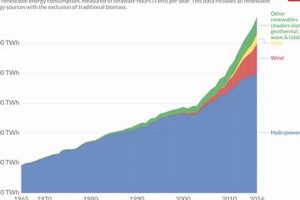Global Renewable Energy Consumption | Renewable Energy Solutions for a Sustainable Future | Clean & Green Power