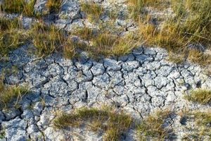 Climate Change & Renewable Energy: Impacts & Solutions Renewable Energy Solutions for a Sustainable Future | Clean & Green Power Climate Change & Renewable Energy: Impacts & Solutions | Renewable Energy Solutions for a Sustainable Future | Clean & Green Power