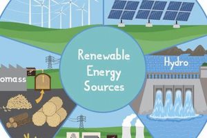 Best Renewable Energy Sources: Which is *the* Power Source? | Renewable Energy Solutions for a Sustainable Future | Clean & Green Power