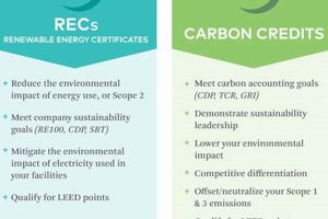 Best Carbon Offsets vs. RECs: A 2024 Guide | Renewable Energy Solutions for a Sustainable Future | Clean & Green Power