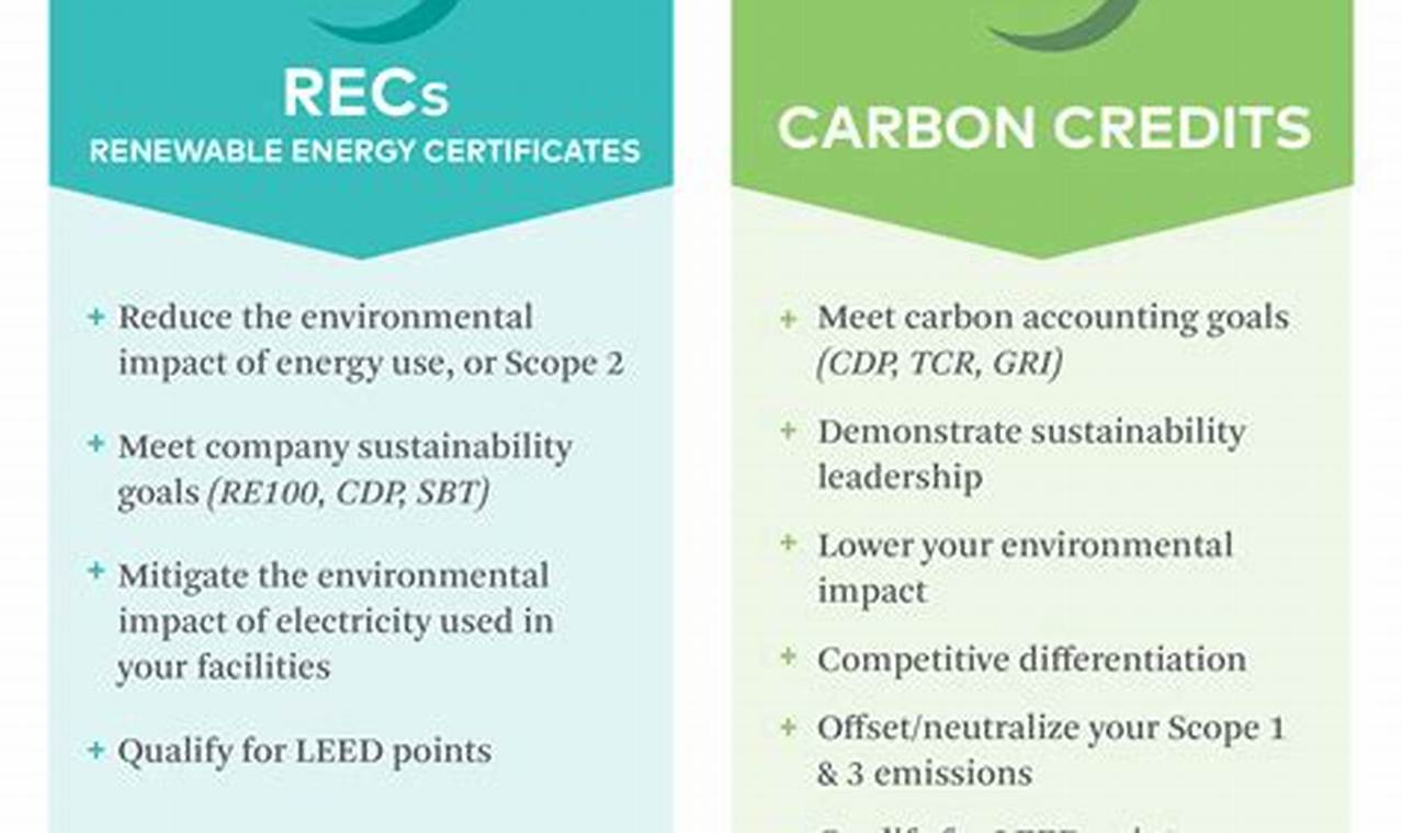 Best Carbon Offsets vs. RECs: A 2024 Guide | Renewable Energy Solutions for a Sustainable Future | Clean & Green Power