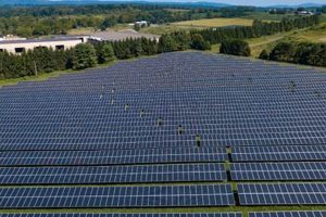 The Solar Future: Renewable Energy LLC Guide & Benefits Renewable Energy Solutions for a Sustainable Future | Clean & Green Power The Solar Future: Renewable Energy LLC Guide & Benefits | Renewable Energy Solutions for a Sustainable Future | Clean & Green Power