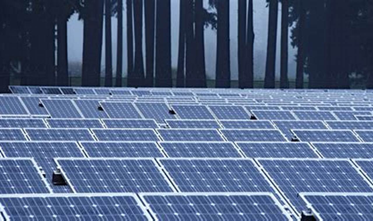 Michigan DNR Renewable Energy Lease Proposals & Updates | Renewable Energy Solutions for a Sustainable Future | Clean & Green Power